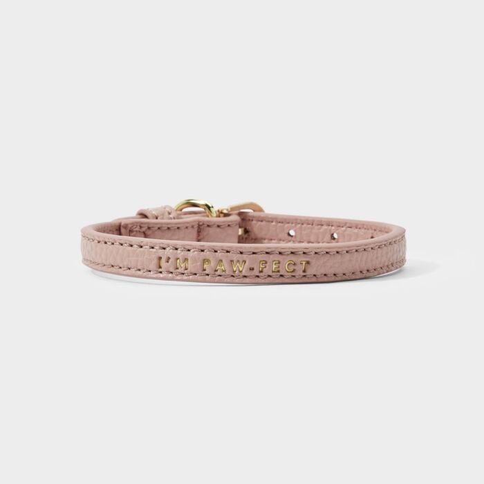 Katie Loxton - Dog Collar - Pink - XS